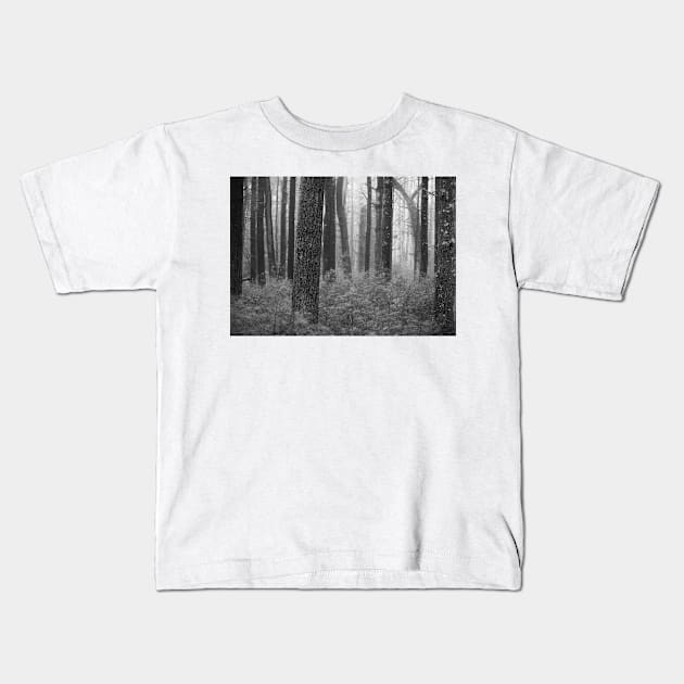 black and white forest with trees in fog Kids T-Shirt by jswolfphoto